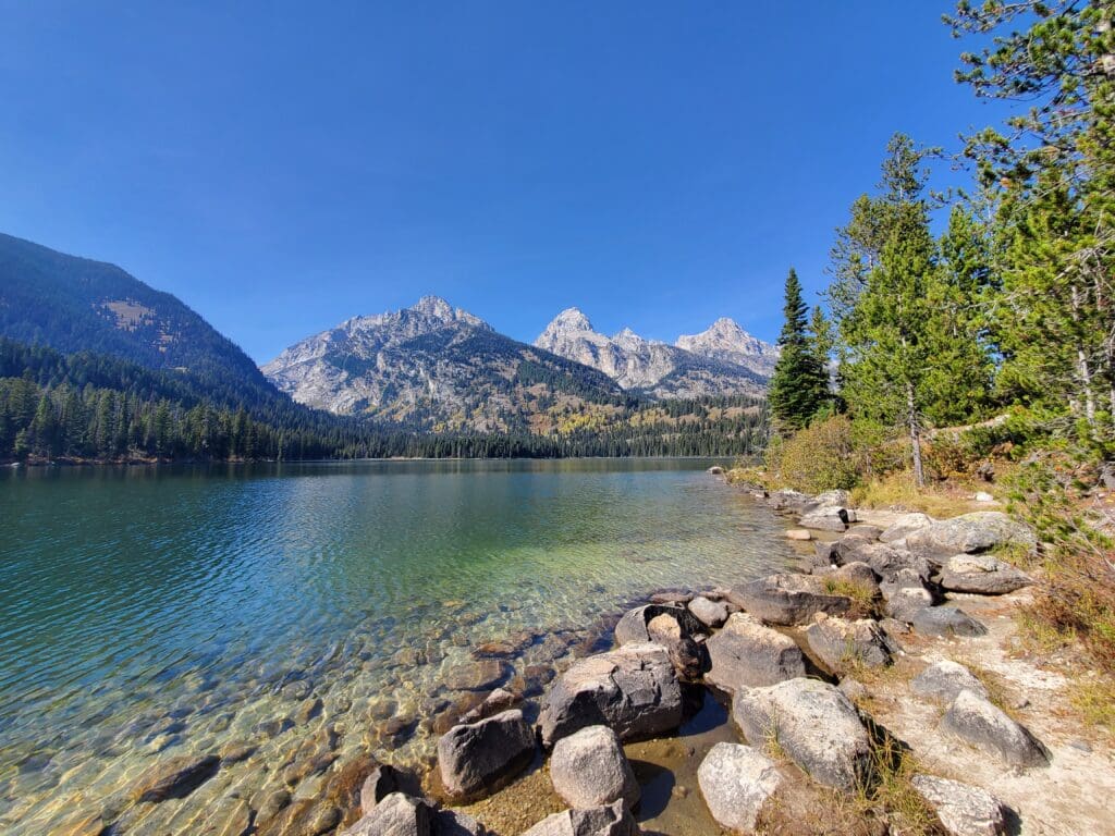 Bradley Lake Landscape | Grand Teton National Park