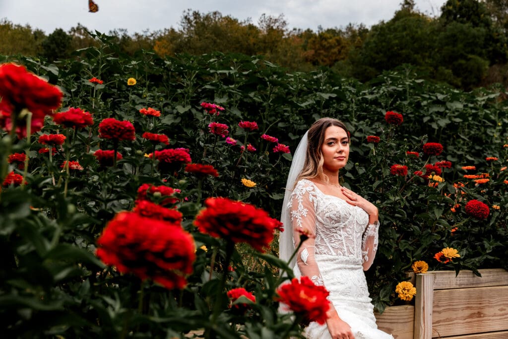Bride in white wedding dress posing in garden with red flowers at Hinckston Run Farm