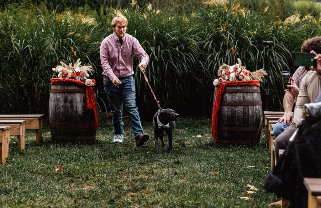 Couple’s dog making an entrance at wedding ceremony at Hinckston Run Farm