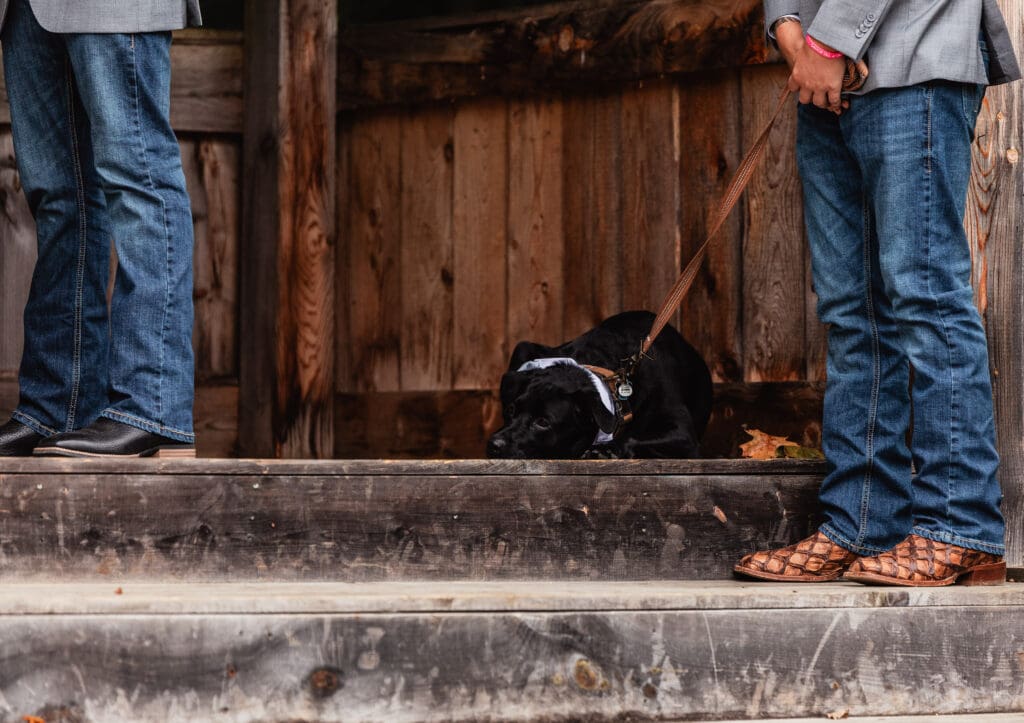 Close-up of couple’s dog attending outdoor wedding ceremony at Hinckston Run Farm