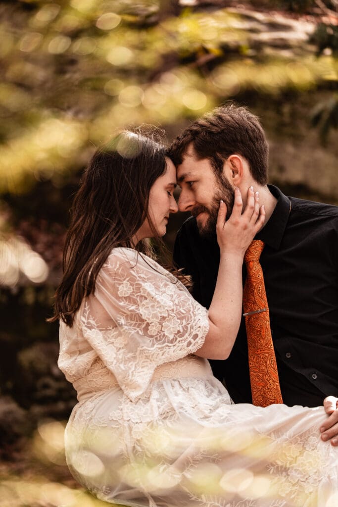 Engaged couple sharing a quiet moment framed by pine trees at Coopers Rock State Park