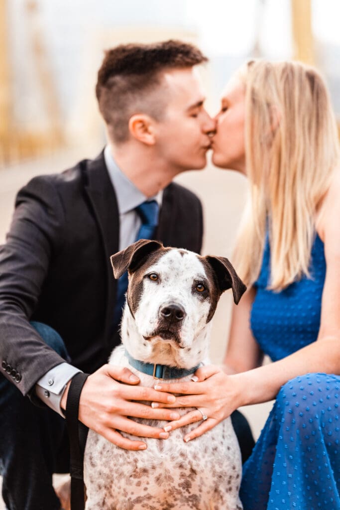 Black and white spotted pointer dog sits between a couple sharing a kiss in formal attire during an engagement photo session