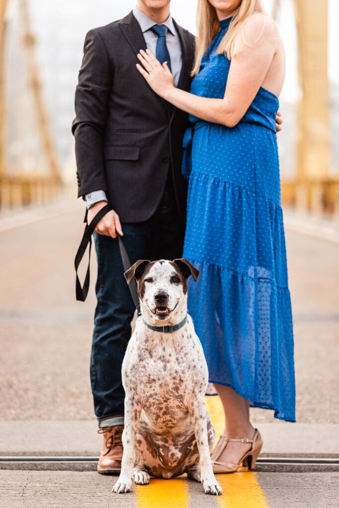 Spotted brown and white dog sits on a bridge while a couple in formal attire stands behind wearing a blue dress and suit during a Pittsburgh engagement session