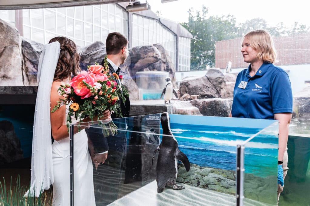 Bride and groom sharing a fun wedding portrait with a penguin at the National Aviary