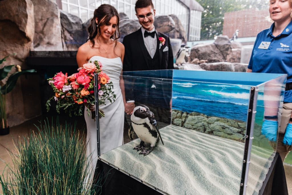 Bride and groom posing with a penguin during their wedding at the National Aviary