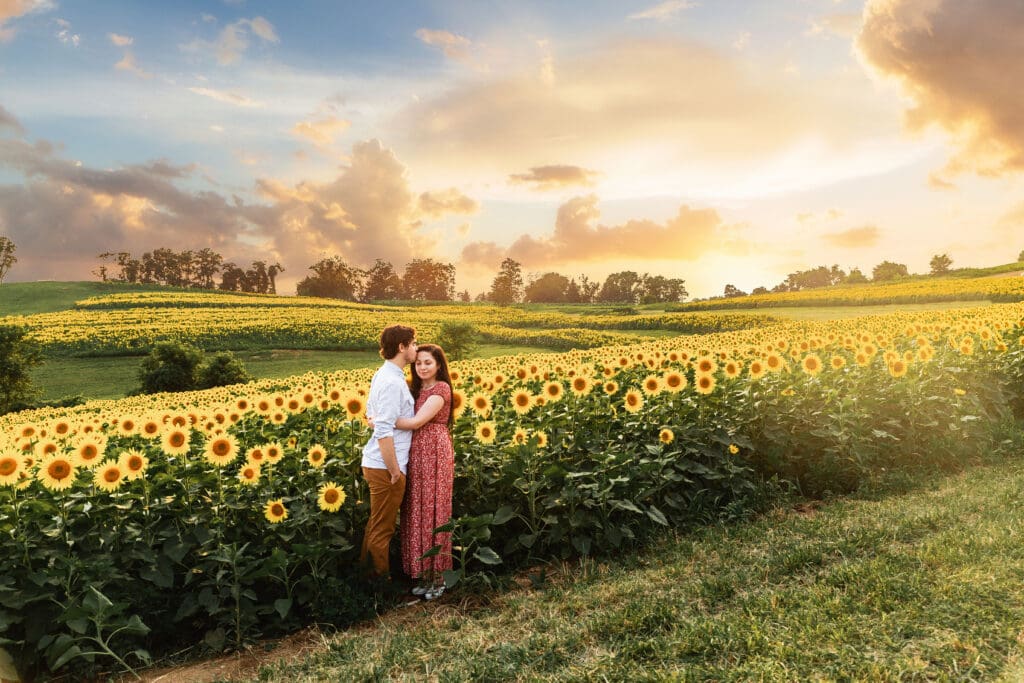 Romantic engagement portrait of a couple embracing in glowing sunflower fields during golden hour near Pittsburgh