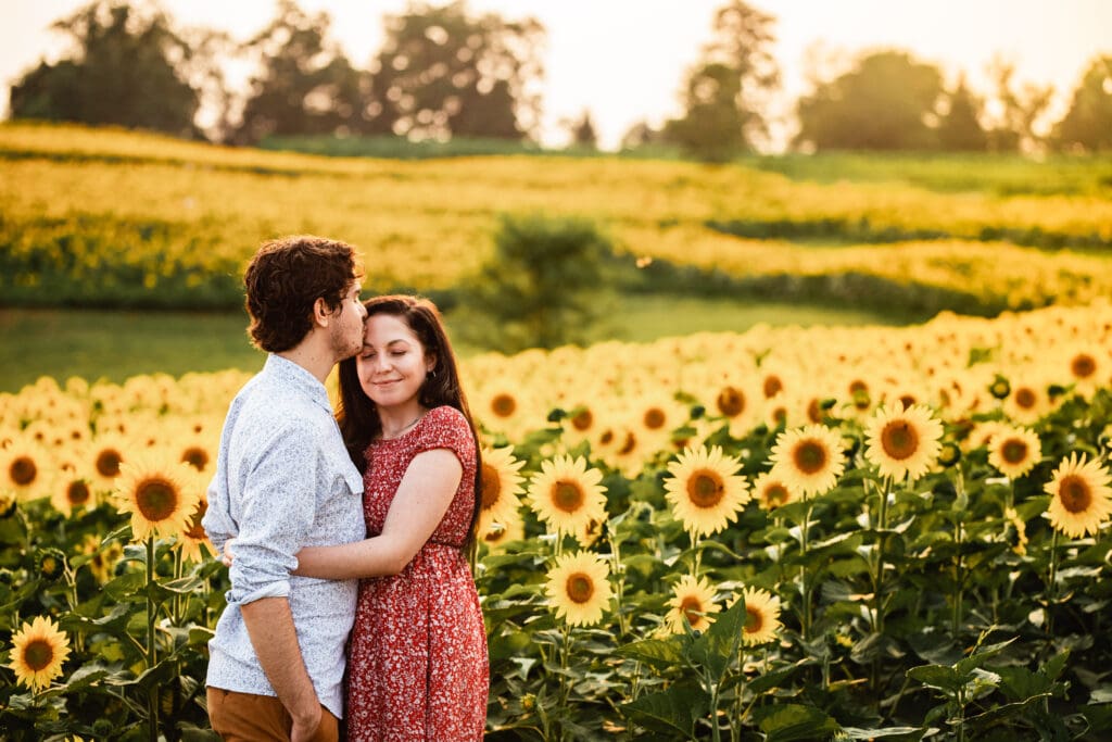 Pittsburgh couple embracing softly as the sun sets behind a sunflower field at Schwirian Sunflower Farm