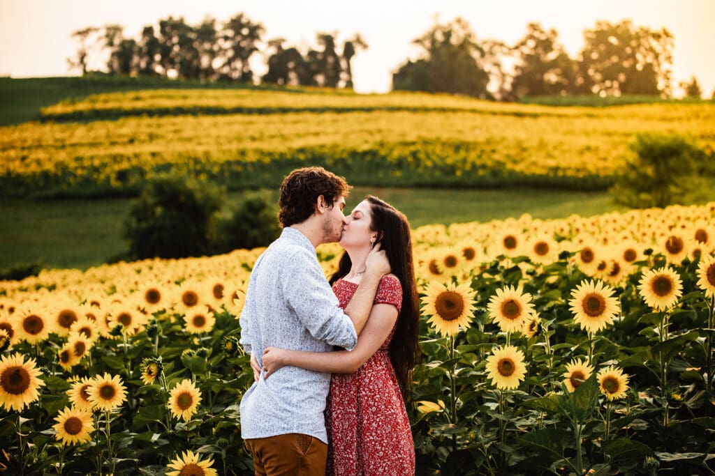 Romantic engagement portraits of a Pittsburgh couple glowing in warm sunset light at Schwirian Sunflower Farm