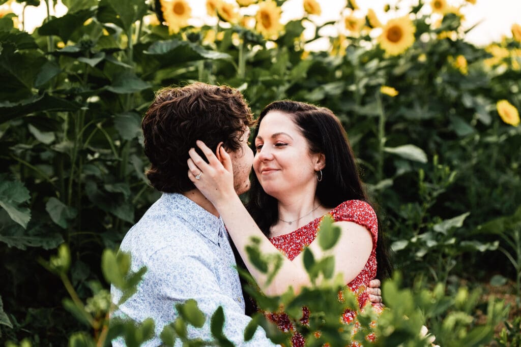 Pittsburgh couple framed by sunflowers as golden hour light fills the field at Schwirian Sunflower Farm