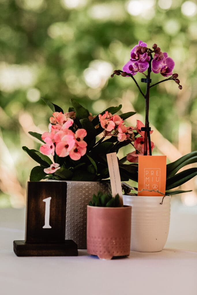 Close-up of assorted potted plant centerpieces at Schenley Park Welcome Center wedding reception