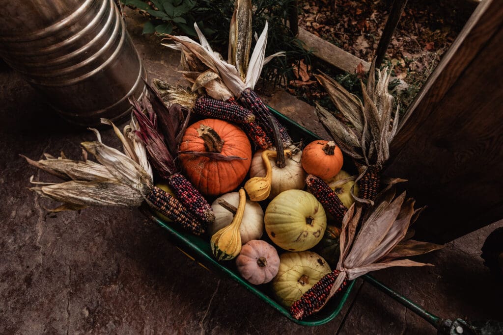 Rustic wooden barrel filled with pumpkins, gourds, and dried corn husks at Hinckston Run Farm wedding