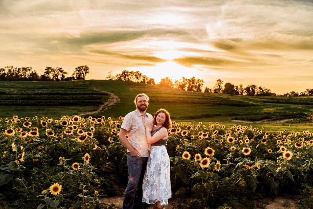 Romantic couple posing together in vibrant sunflower field at sunset during engagement session at Schwirian Sunflower Festival