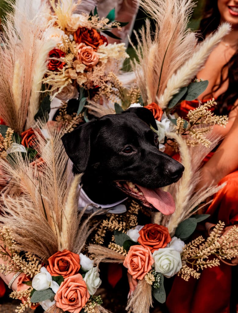 Black dog posing with rustic floral arrangements at Hinckston Run Farm wedding