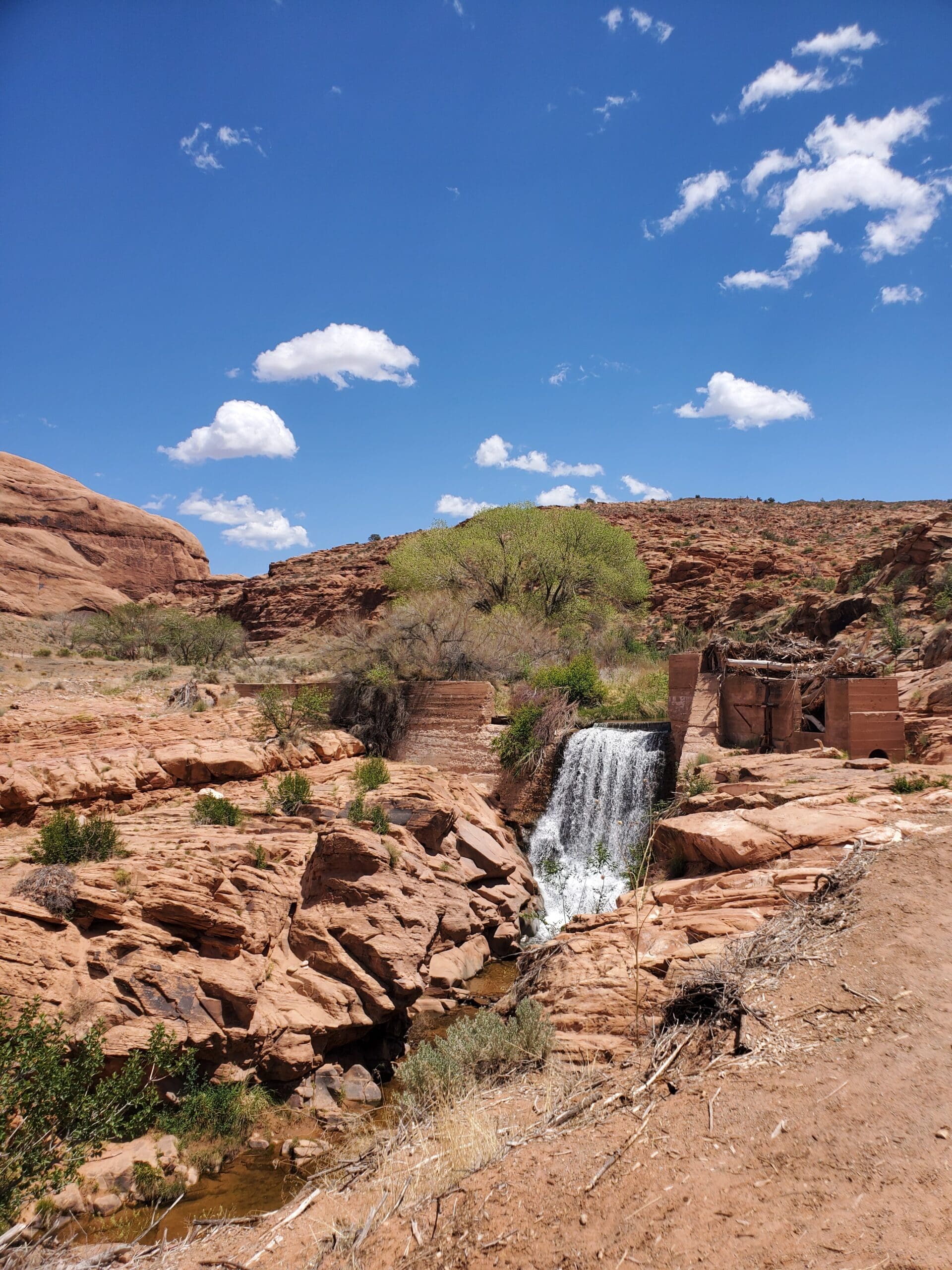 Desert oasis at Mill Creek in Moab, Utah on BLM land with flowing water, lush greenery, and red rock canyon walls creating a hidden natural escape