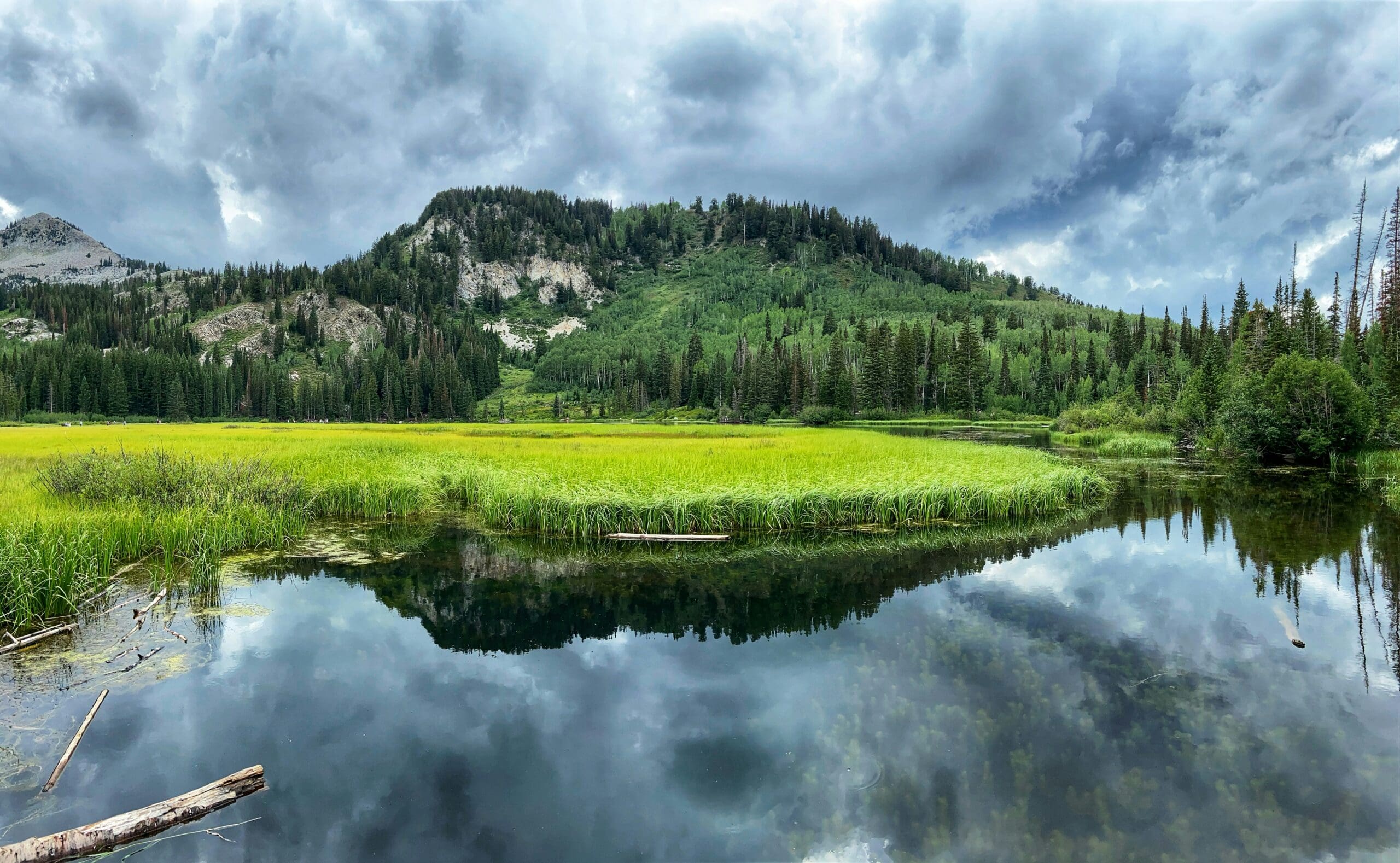 Silver Lake in Big Cottonwood Canyon Utah surrounded by mountains, pine trees, and calm alpine water perfect for an intimate elopement.