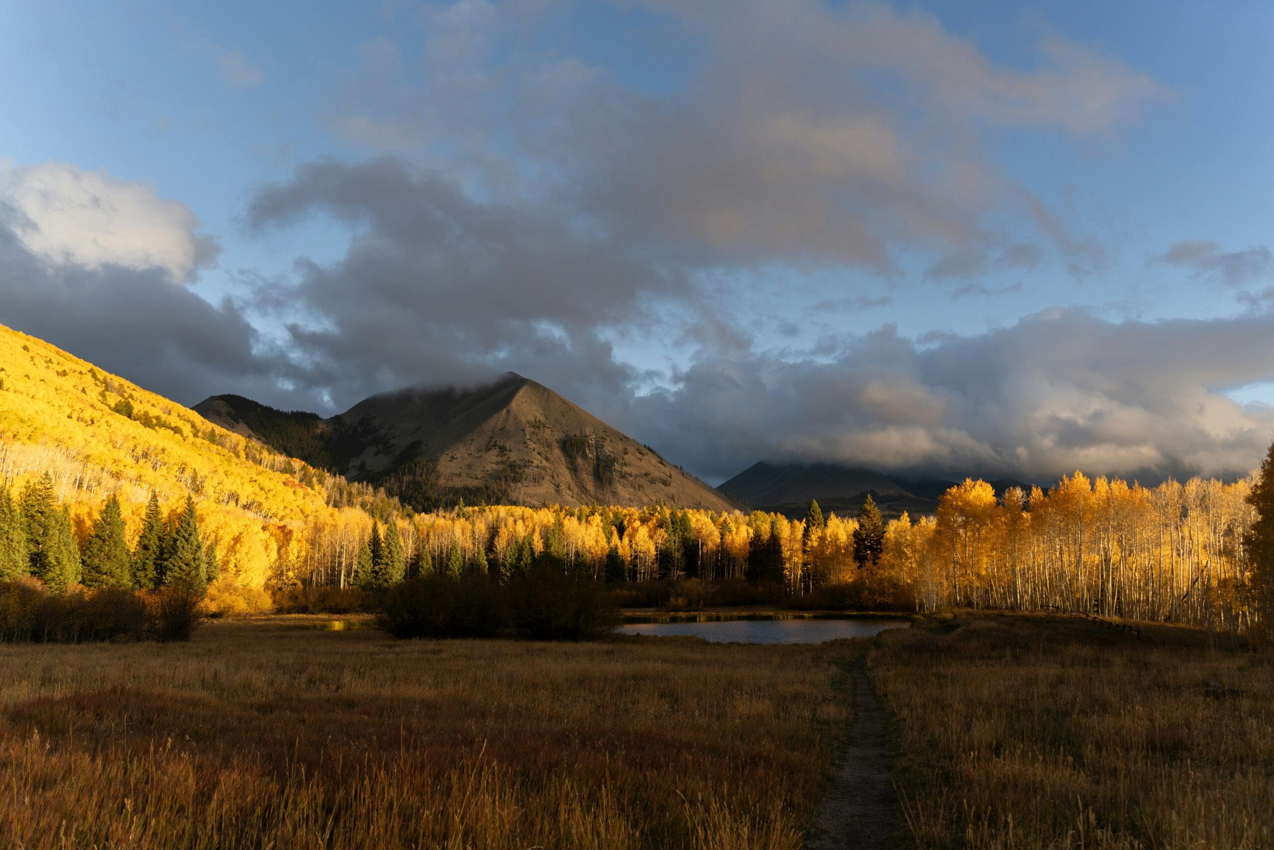 La Sal Mountains near Moab, Utah in the fall with vibrant autumn colors, golden aspens, and snow-dusted peaks rising above the desert landscape