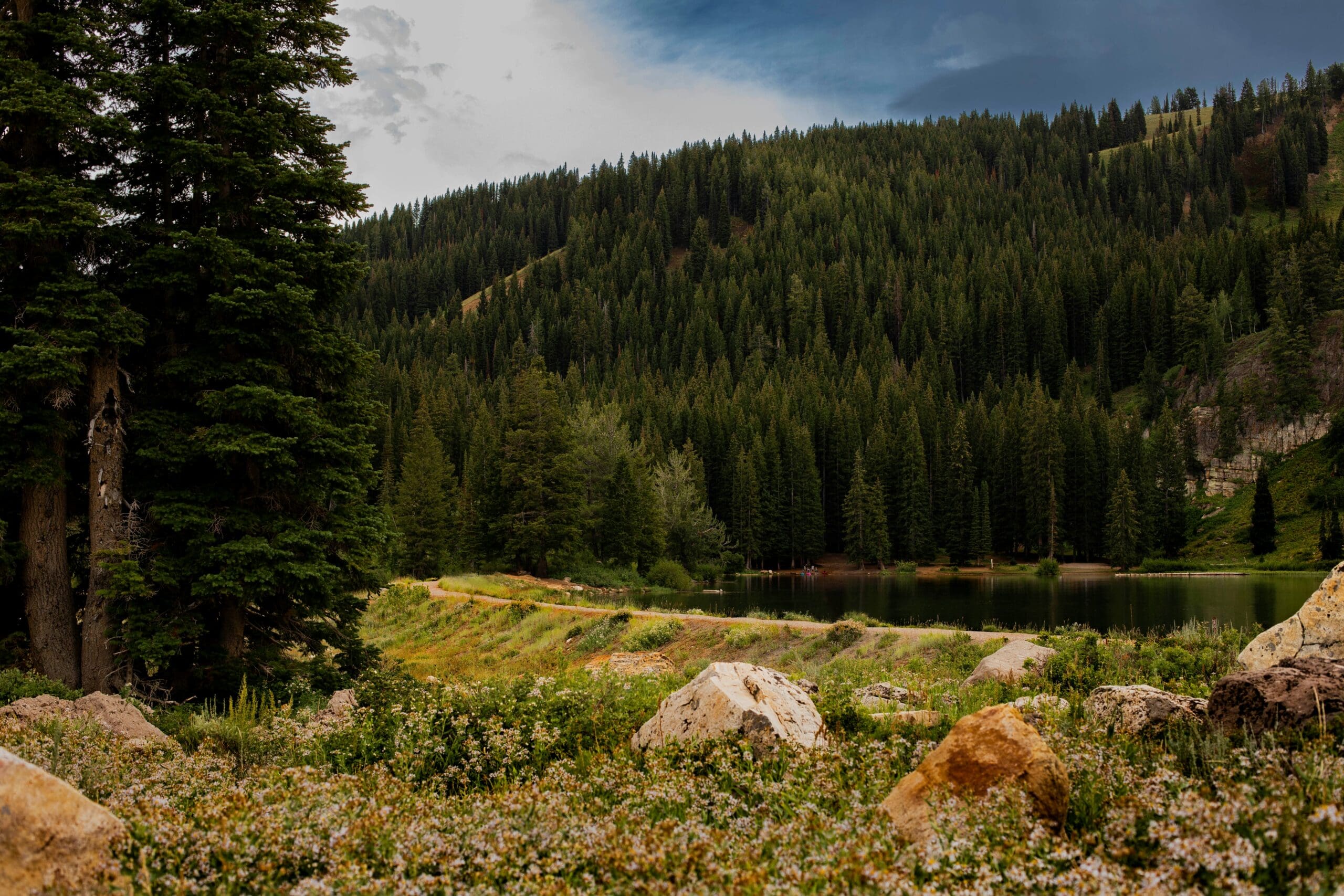 Mountain lake surrounded by forested cliffs in Logan Canyon