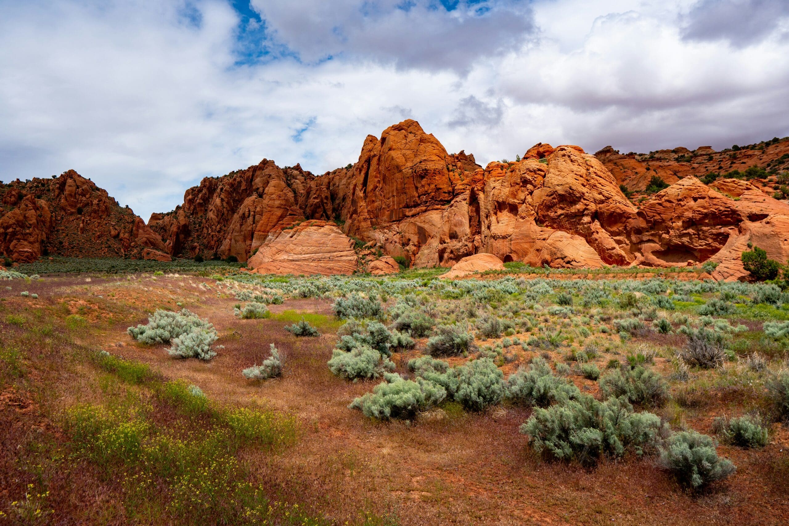 Buckskin Gulch Utah slot canyon elopement with narrow sandstone walls and soft light filtering through canyon passage.