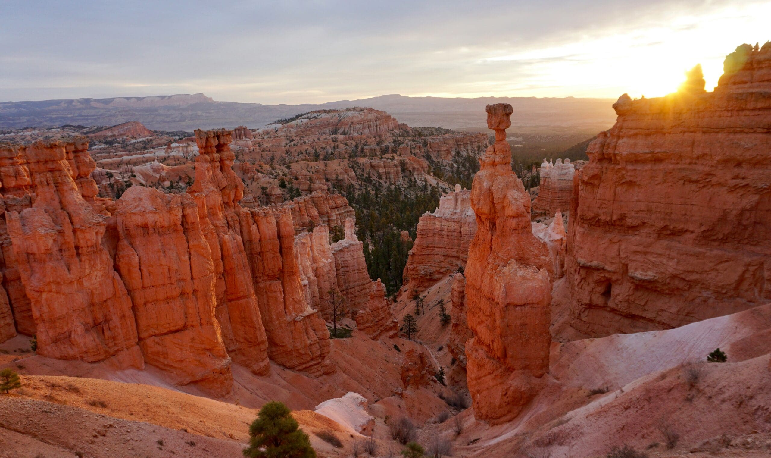 Bryce Canyon Utah elopement with dramatic hoodoo rock formations and canyon overlook views during golden hour.