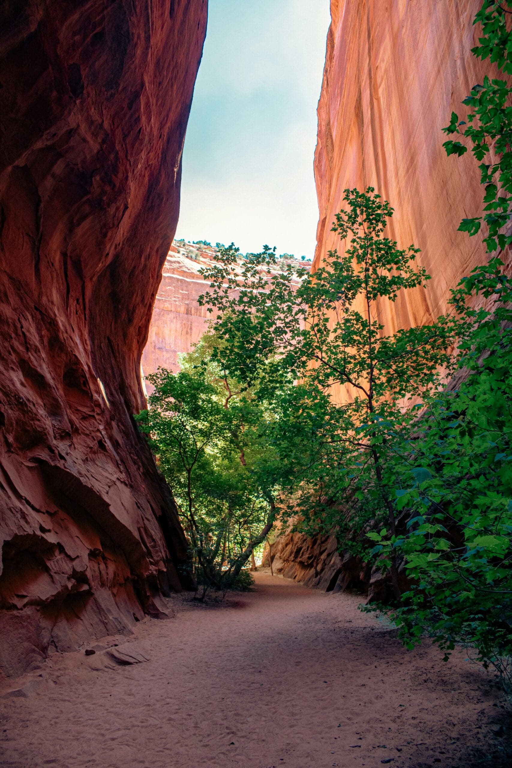 Grand Staircase Escalante National Monument Utah elopement with vast desert cliffs, canyons, and remote open landscape views.