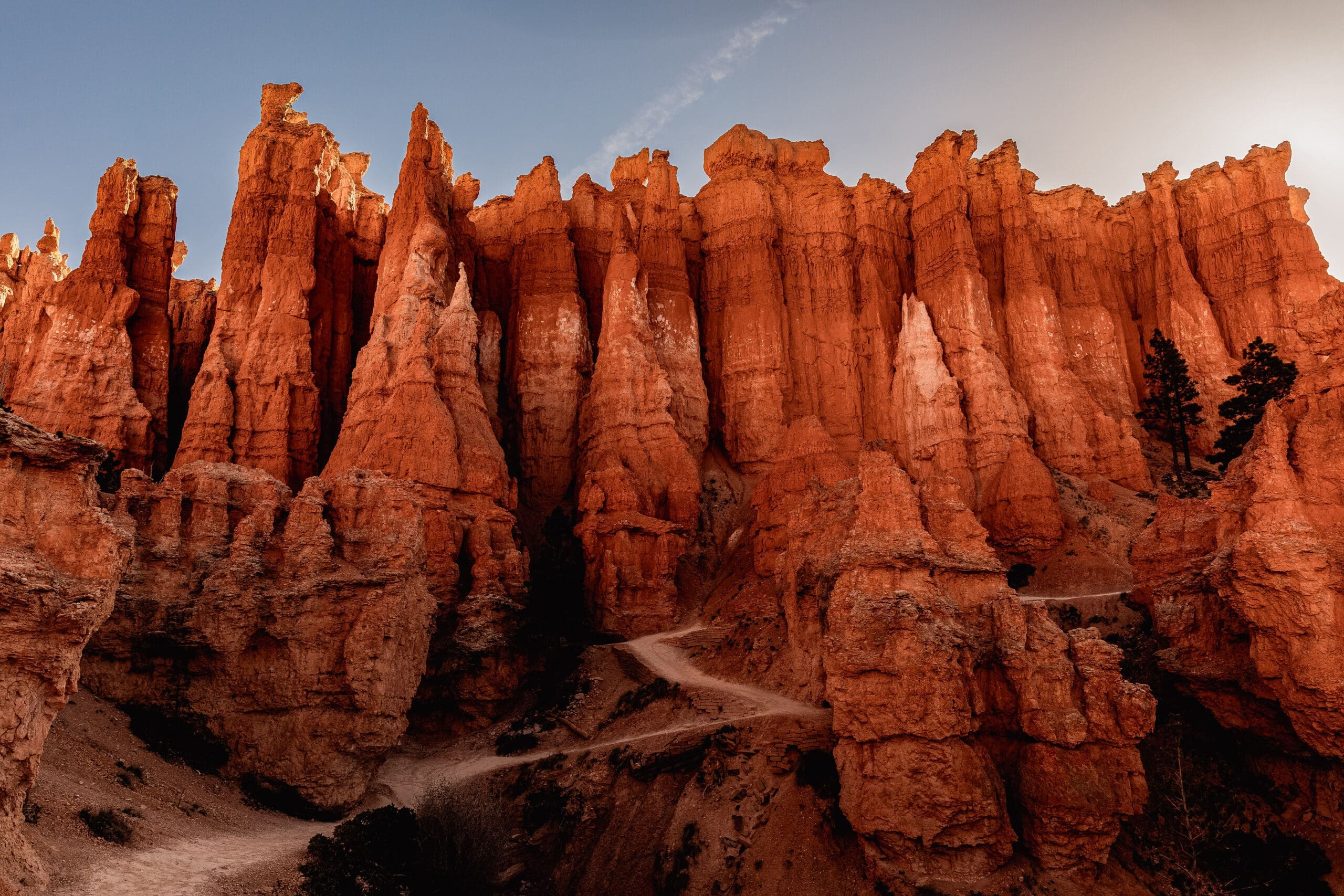 Bryce Canyon hoodoos along Wall Street on the Navajo Loop Trail for a Bryce Canyon elopement